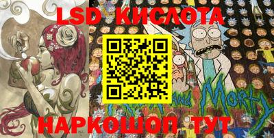 молекула духа Новозыбков