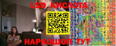 молекула духа Новозыбков